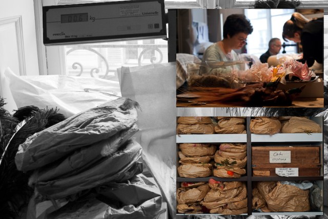 lemarie-001 Packets of feathers at plumassier Lemarie Photo ©