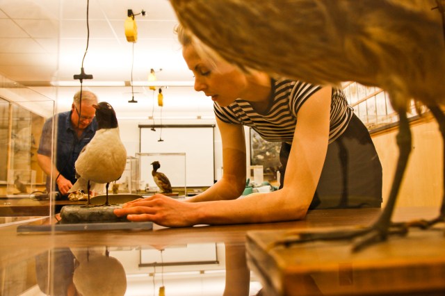 5711819982_5b8d347d61_o