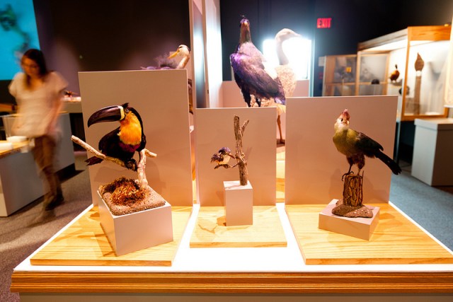 6850812632_24cbe78434_c